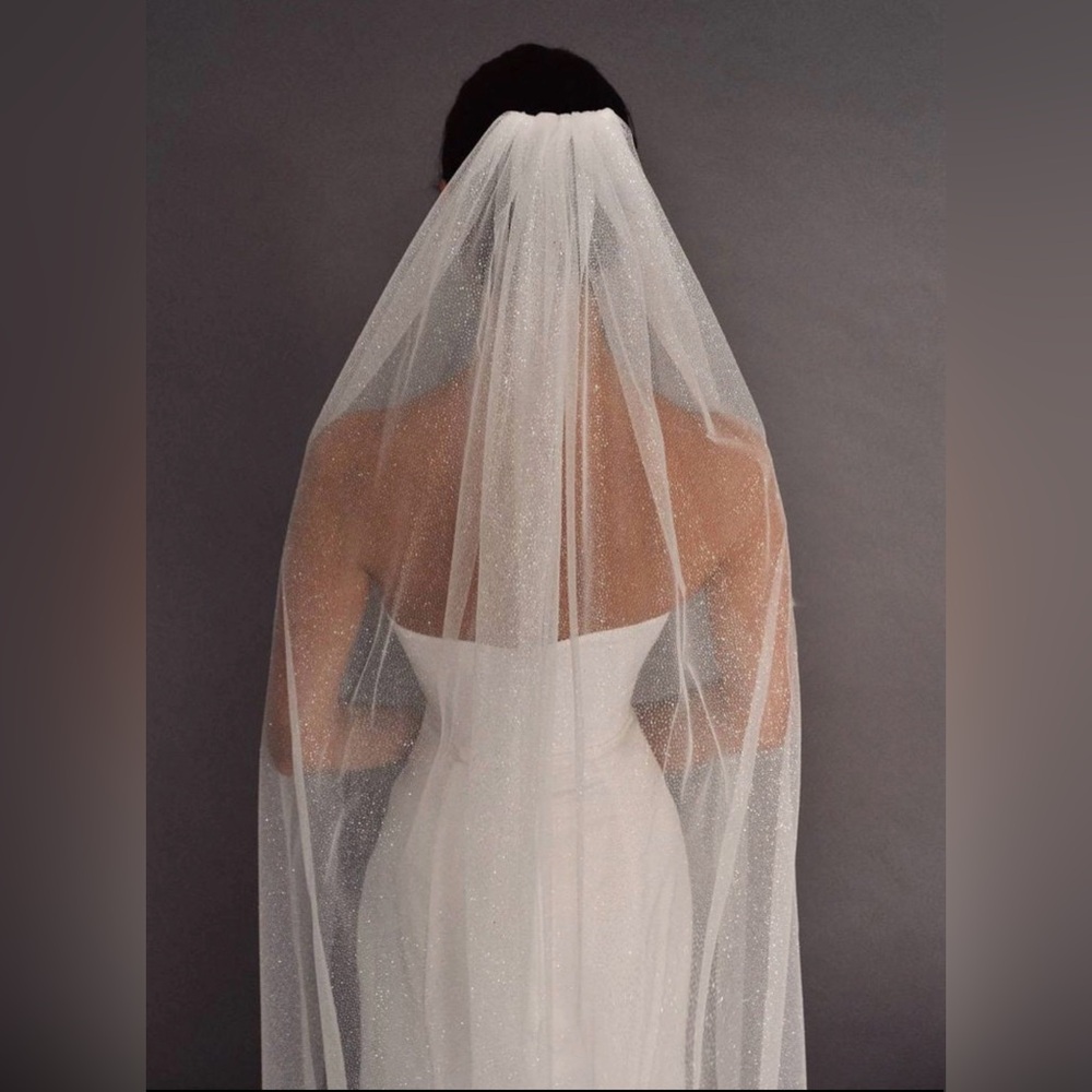 Sparkling Sheer Bridal Train Veil in Ivory - Picture 2 of 5